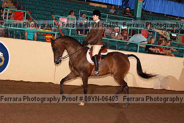 Proof 09yn-06405