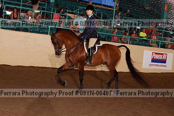 Proof 09yn-06407