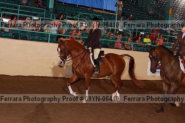 Proof 09yn-06410