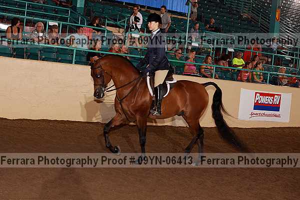 Proof 09yn-06413