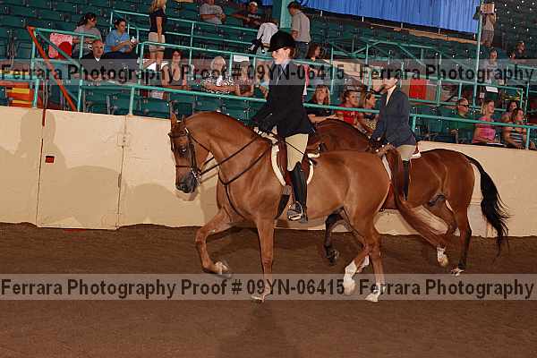 Proof 09yn-06415
