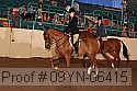 09yn-06415 proof