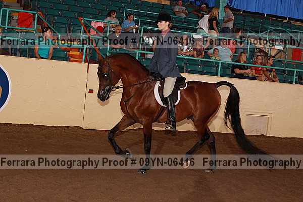Proof 09yn-06416