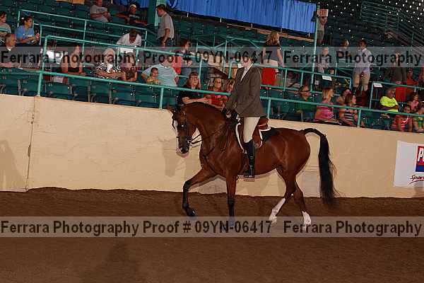 Proof 09yn-06417