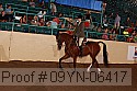09yn-06417 proof