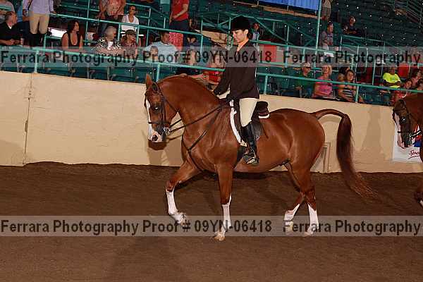 Proof 09yn-06418