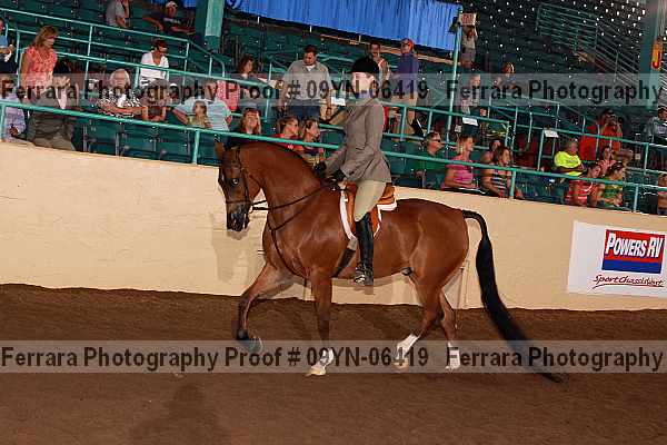 Proof 09yn-06419