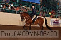 09yn-06420 proof
