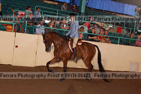 Proof 09yn-06422