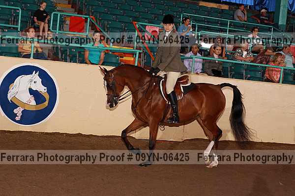 Proof 09yn-06425
