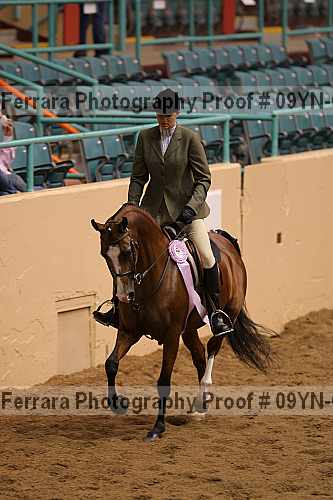 Proof 09yn-06429