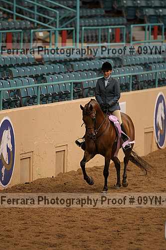 Proof 09yn-06431