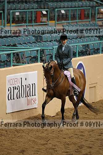 Proof 09yn-06432
