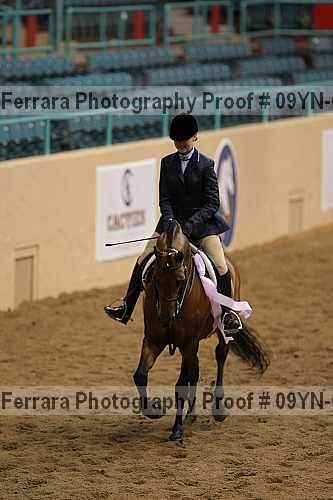 Proof 09yn-06433