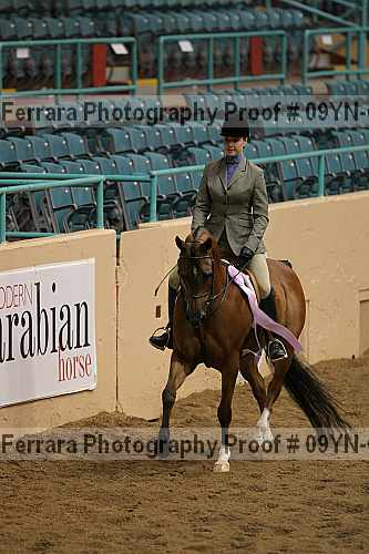Proof 09yn-06438