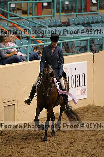 Proof 09yn-06440