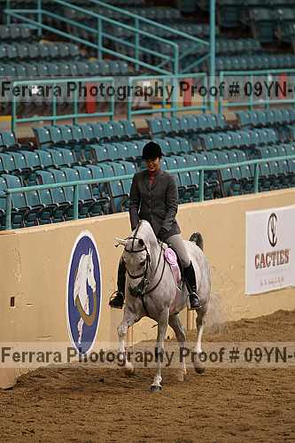 Proof 09yn-06441