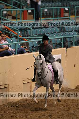 Proof 09yn-06442