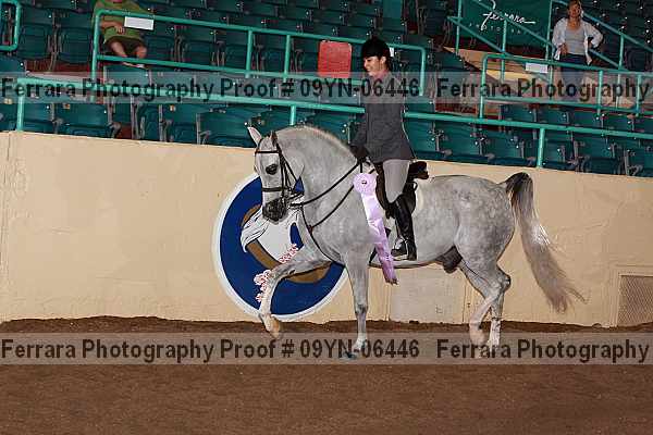 Proof 09yn-06446