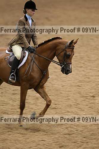 Proof 09yn-06449
