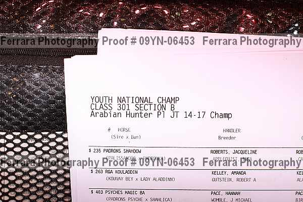 Proof 09yn-06453