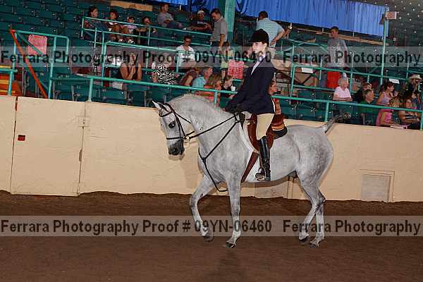 Proof 09yn-06460