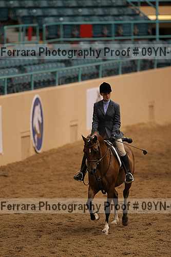 Proof 09yn-06461