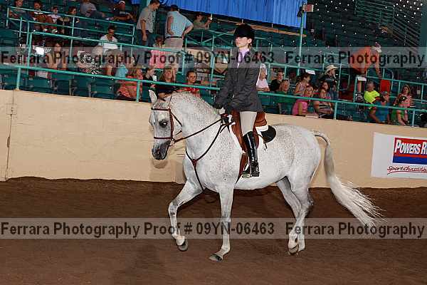Proof 09yn-06463