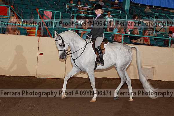 Proof 09yn-06471
