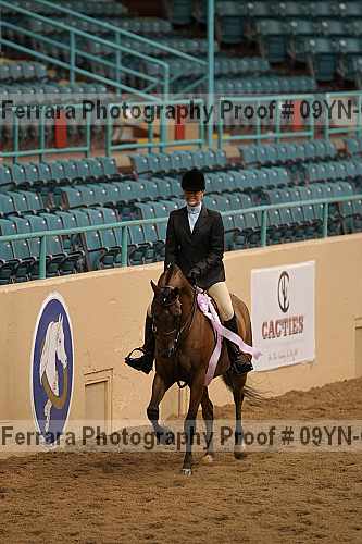 Proof 09yn-06483