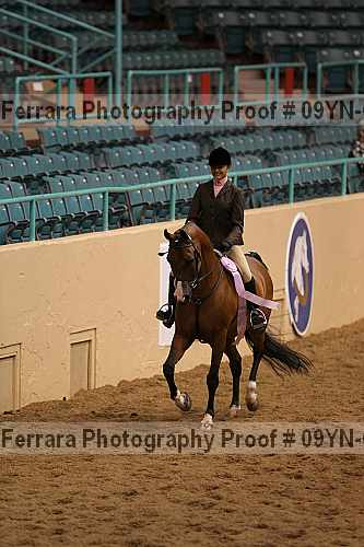 Proof 09yn-06490