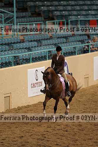 Proof 09yn-06492