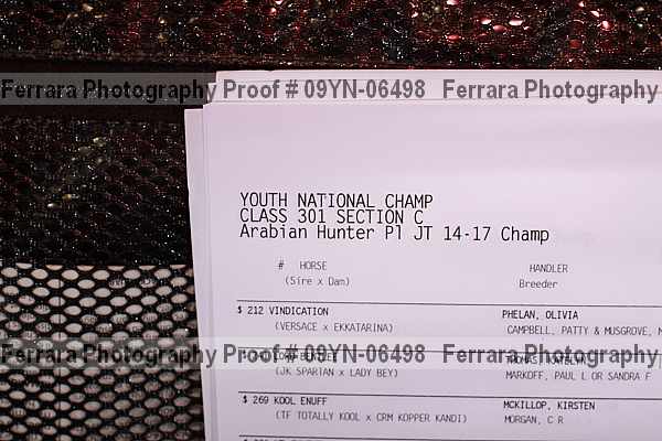Proof 09yn-06498