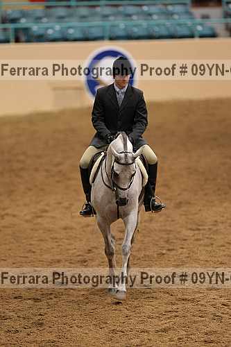 Proof 09yn-06499