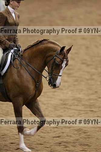 Proof 09yn-06505