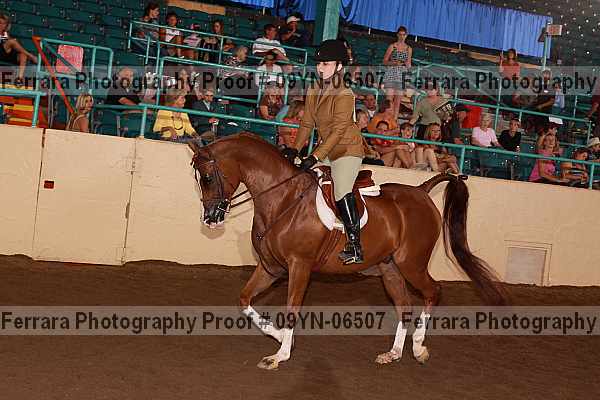Proof 09yn-06507