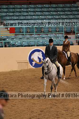 Proof 09yn-06508