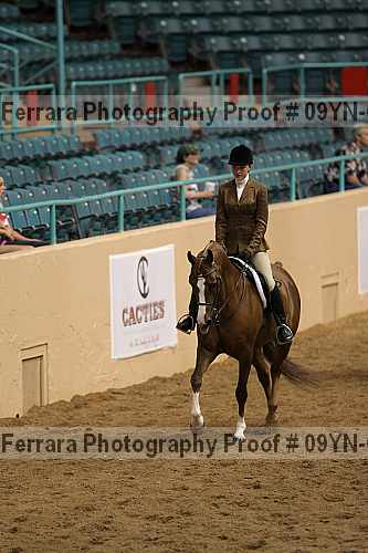 Proof 09yn-06510