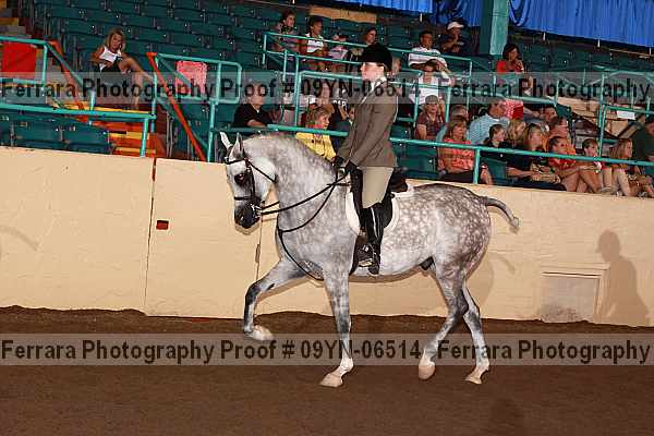 Proof 09yn-06514
