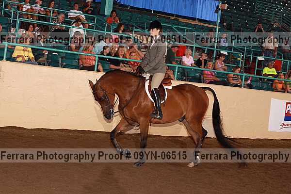 Proof 09yn-06515