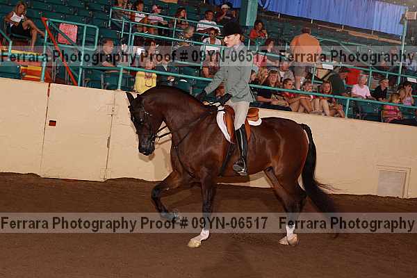 Proof 09yn-06517