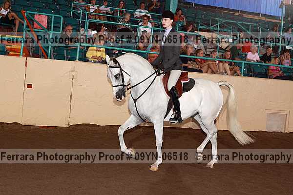 Proof 09yn-06518