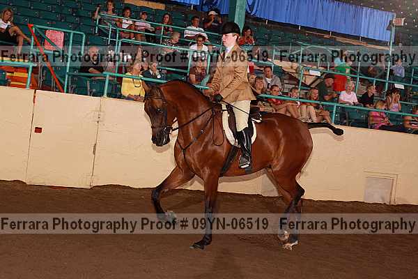 Proof 09yn-06519