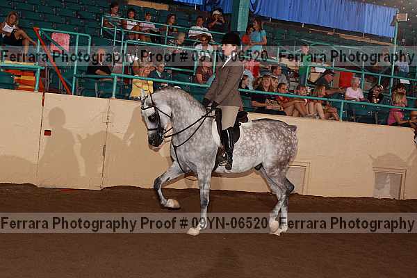 Proof 09yn-06520