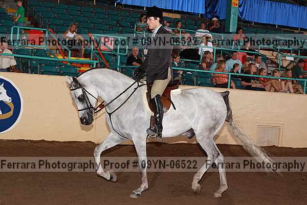 Proof 09yn-06522