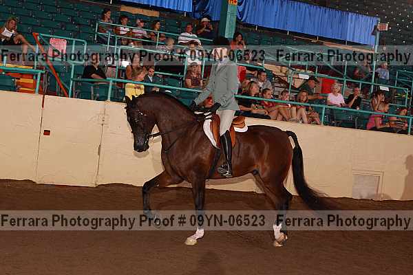 Proof 09yn-06523