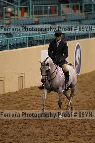 Proof 09yn-06527