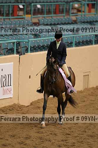Proof 09yn-06529