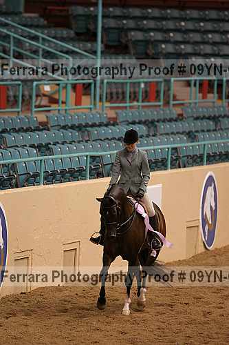 Proof 09yn-06530