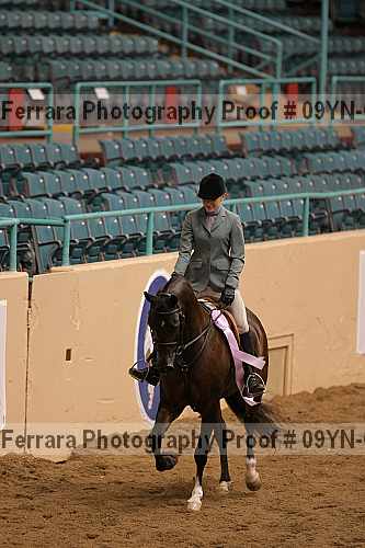 Proof 09yn-06531
